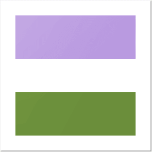 Gender queer flag Posters and Art